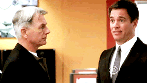 Gibbs-slap.gif