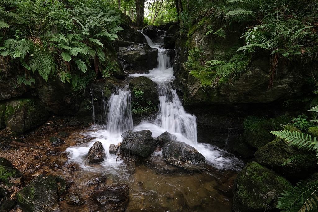 DSCF7737-XL.jpg