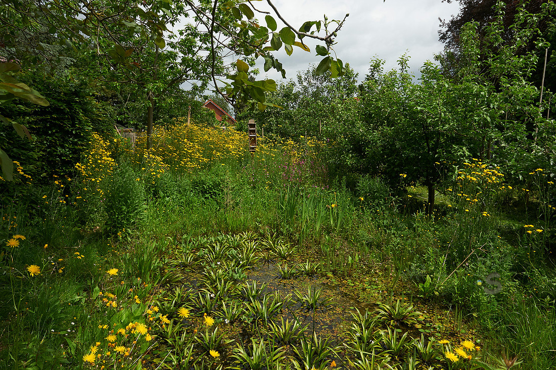p3900351904-5.jpg