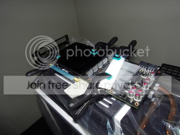 SDC10996.jpg