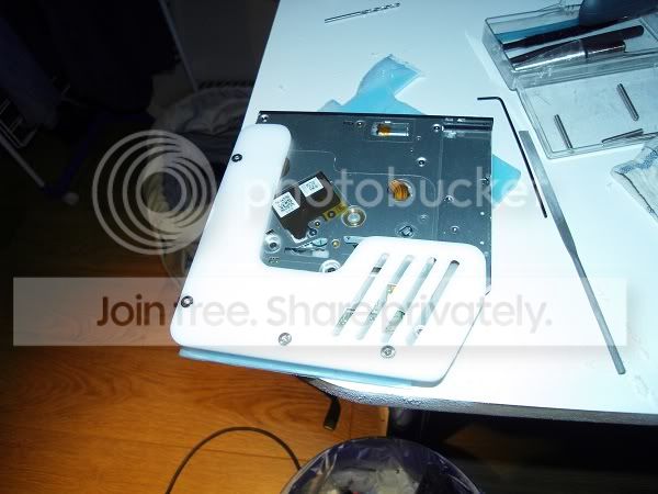 SDC10309.jpg