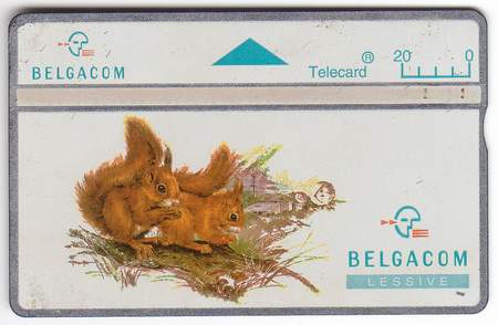 telecard2.JPG