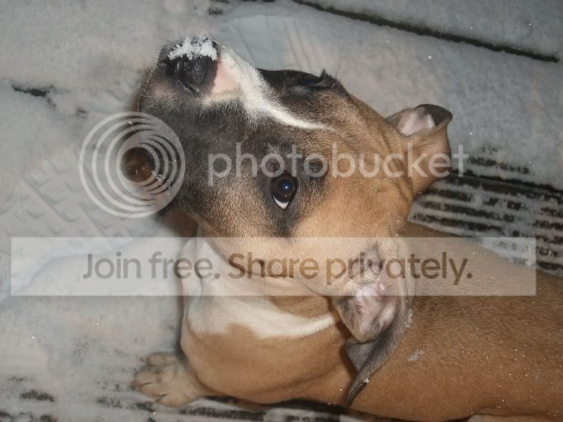 IMGP3711.jpg