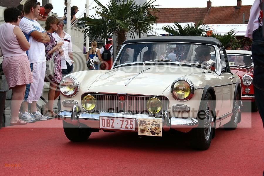 sized_IMG_8080.jpg