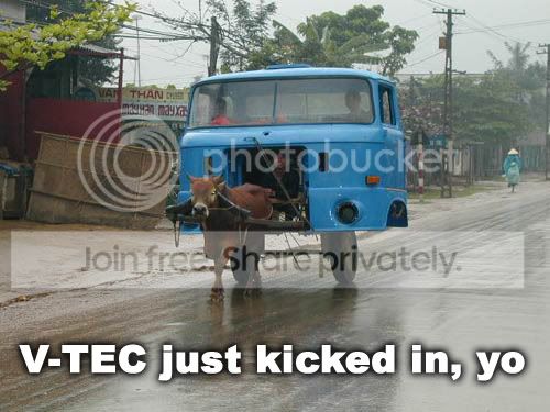 Vtec_just_kicked_in_yo_asia.jpg