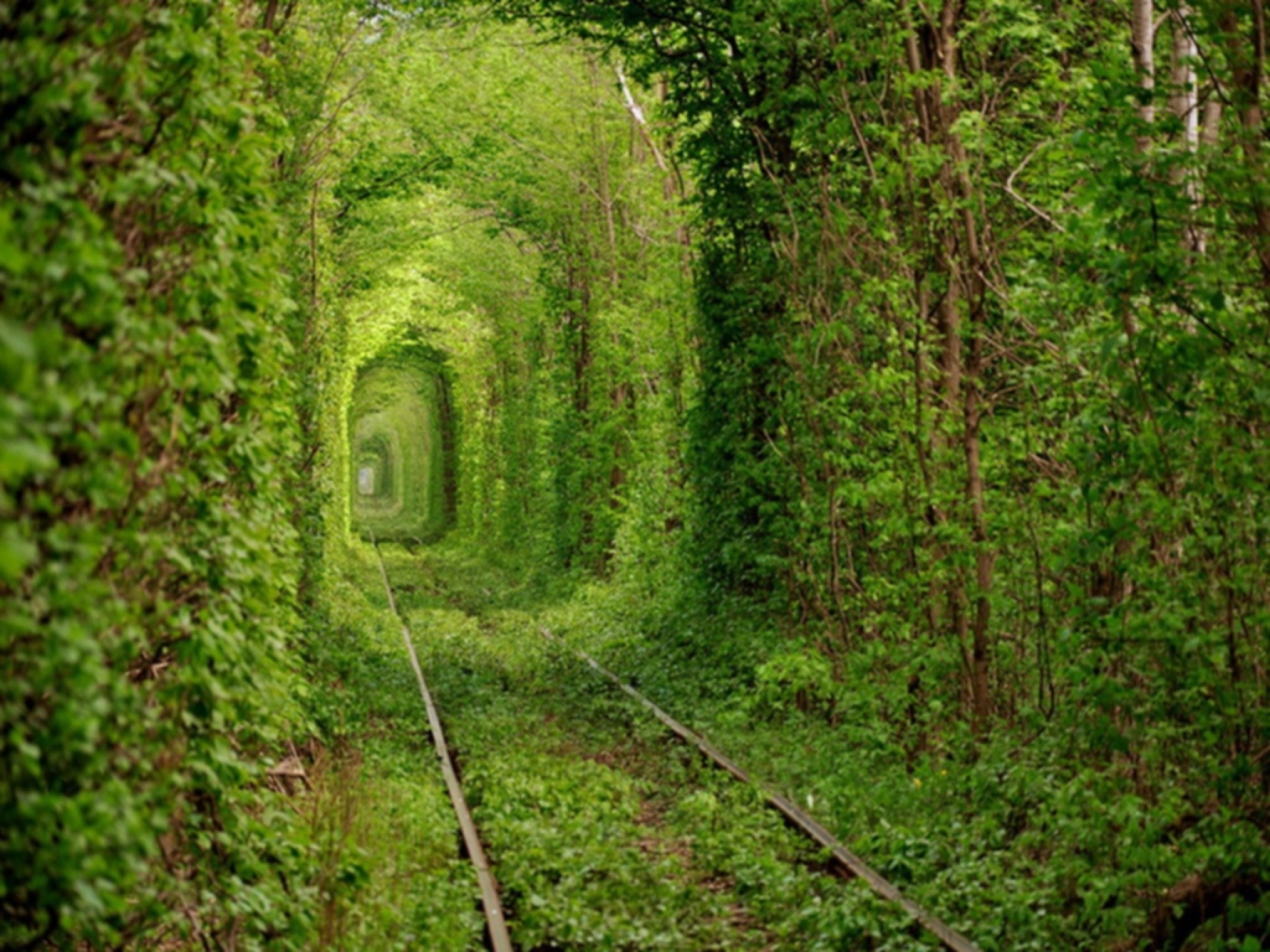 El-tunel-del-amor-de-Klevan.jpg