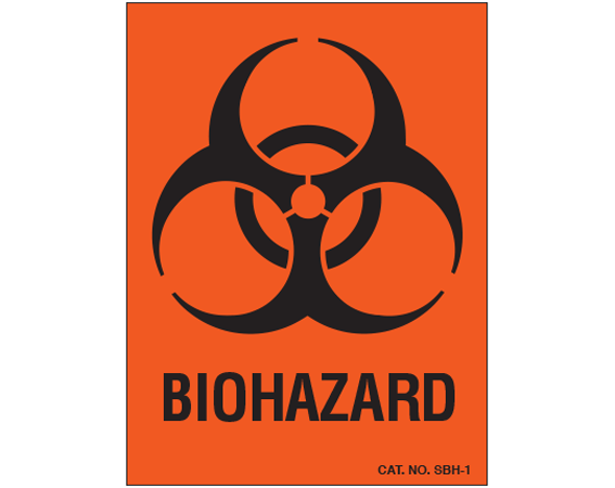 SBH-1.png