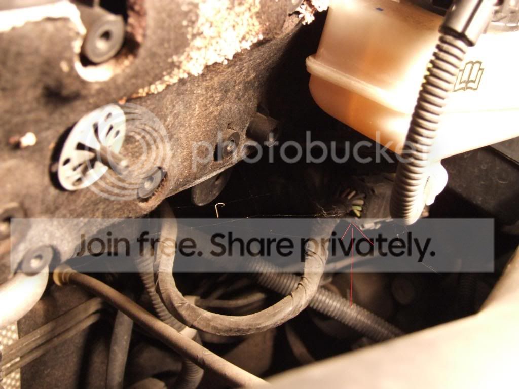 DSCF8266.jpg