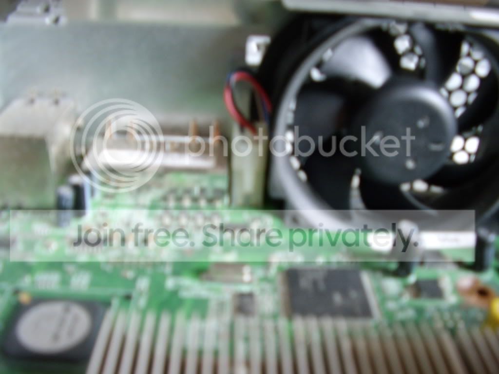 STA41778.jpg