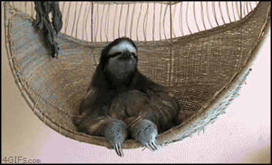 e33.gif