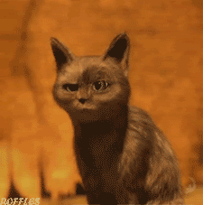 tumblr_lxjz60ObfL1qe5i1s.gif