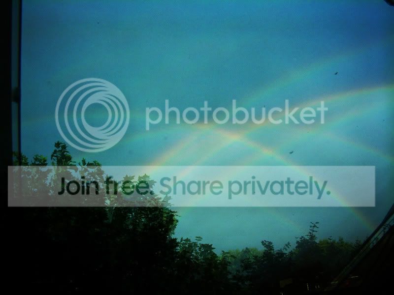 inrainbowssmall.jpg