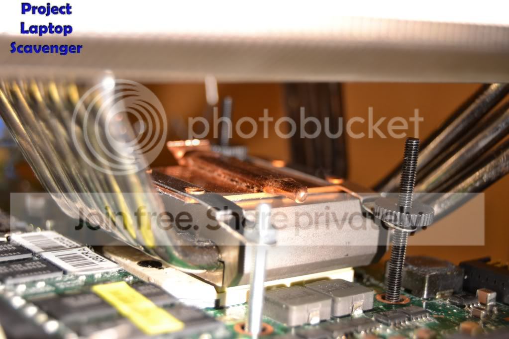 DSC_0107.jpg