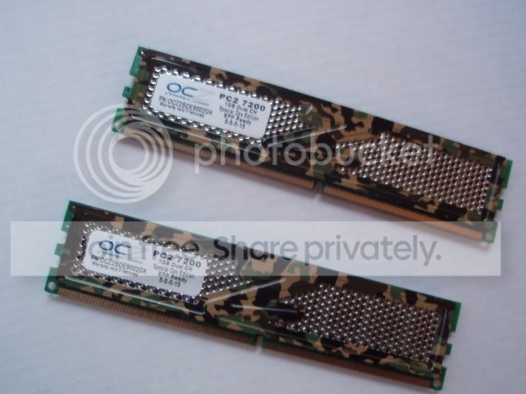 P9050120.jpg