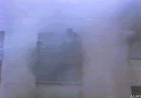 shit.gif