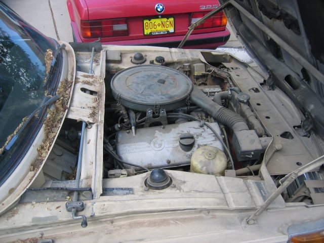 BMW2002-Engine2.JPG