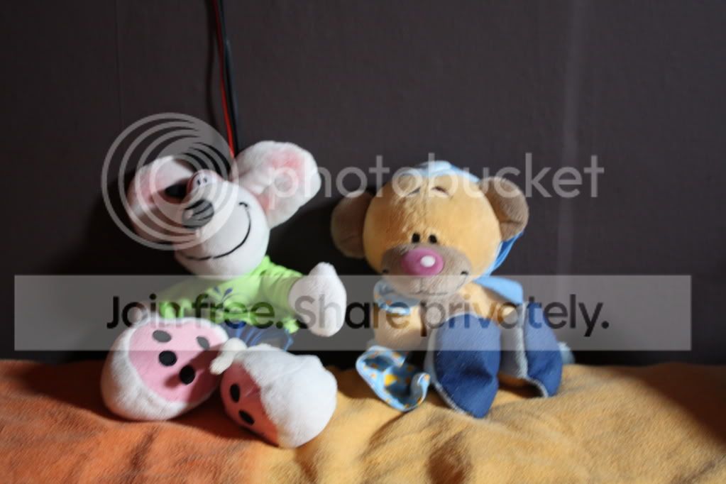 IMG_1740.jpg
