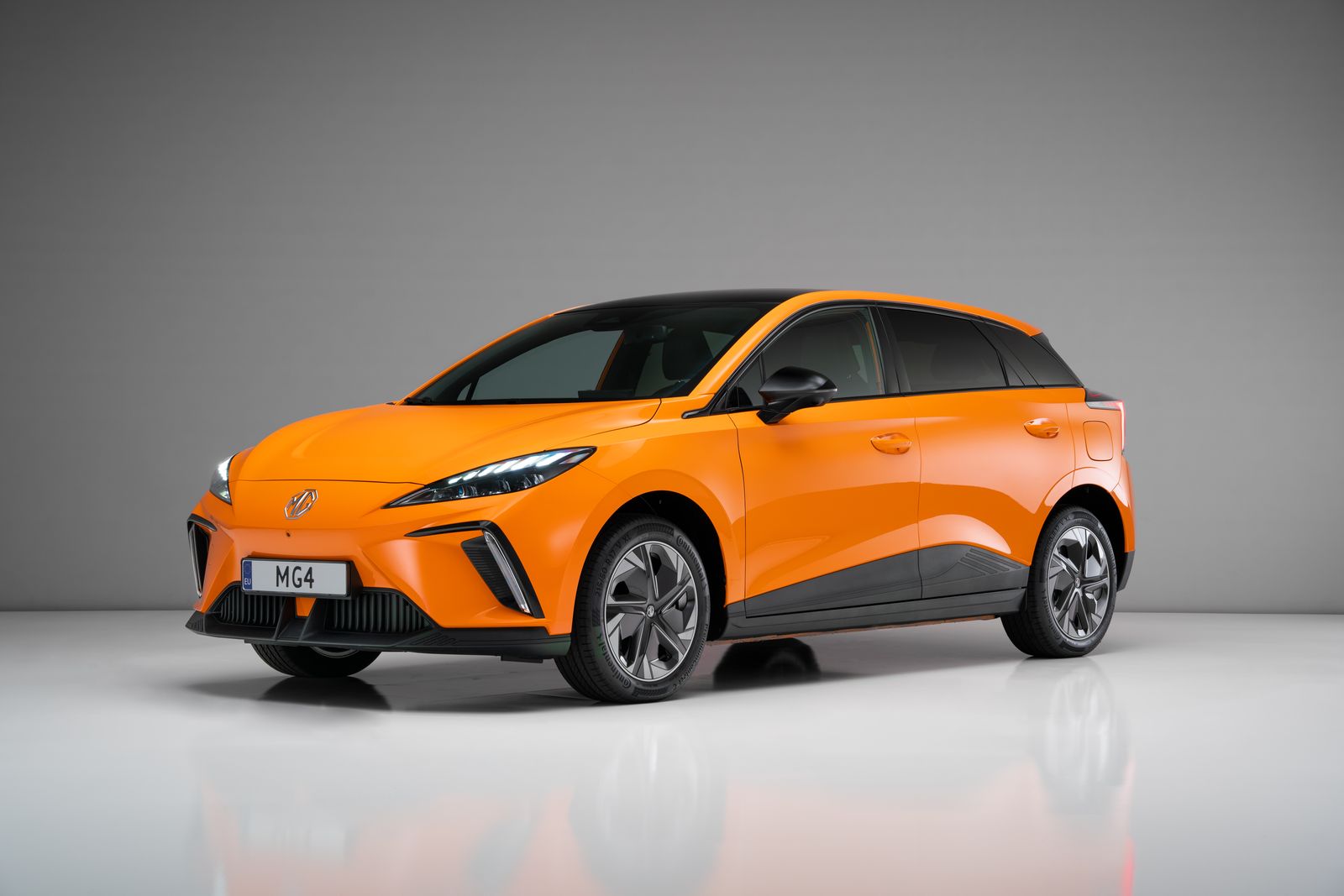 www.elektrischeauto.nl