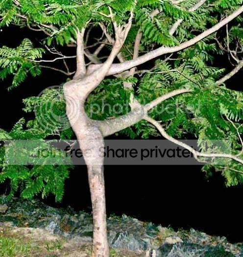 mother-nature.jpg