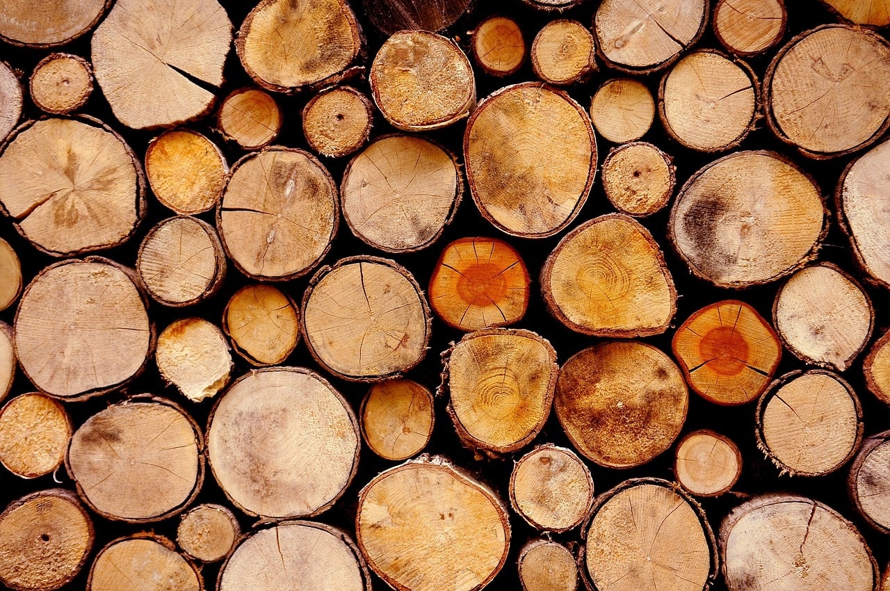 verschillende-soorten-hout-wat-is-wat.jpg