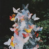 caribouband.bandcamp.com