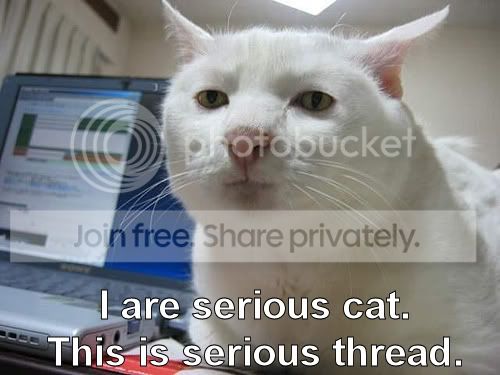 serious-cat.jpg