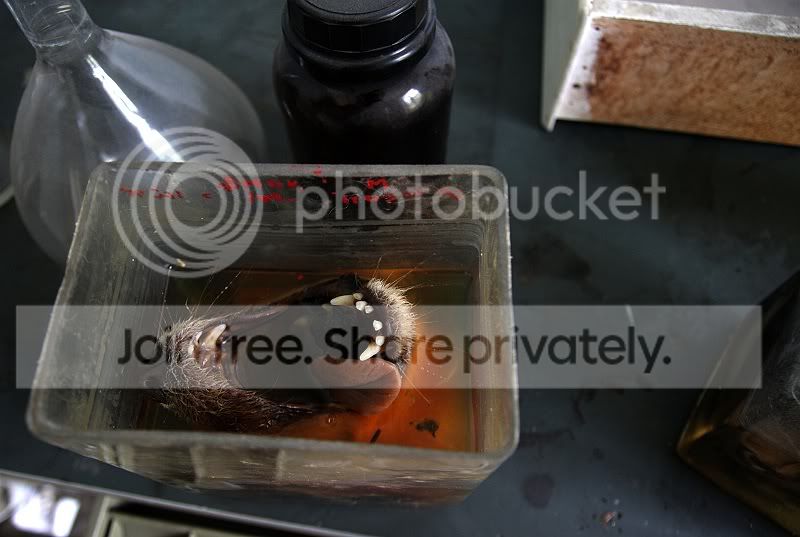 sized_IMG_2073.jpg