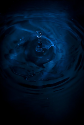 3868172256_6627055820.jpg