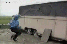 371.gif