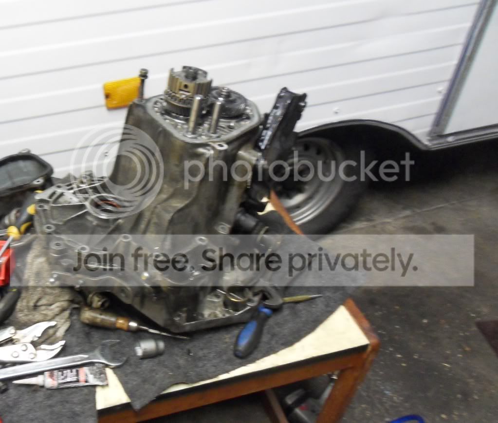 SDC12468.jpg