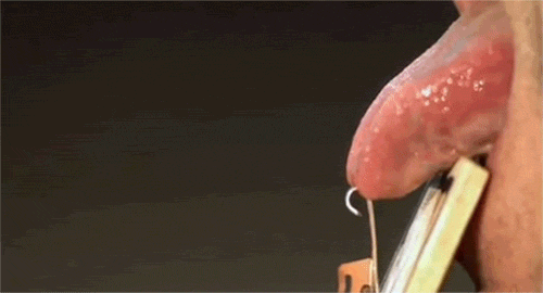 4-15.gif