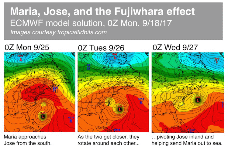 maria-jose-fujiwhara_0.png