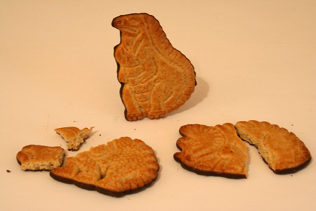498508850_bba9b694c8_z.jpg