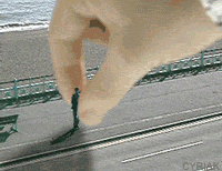 image001-1.gif