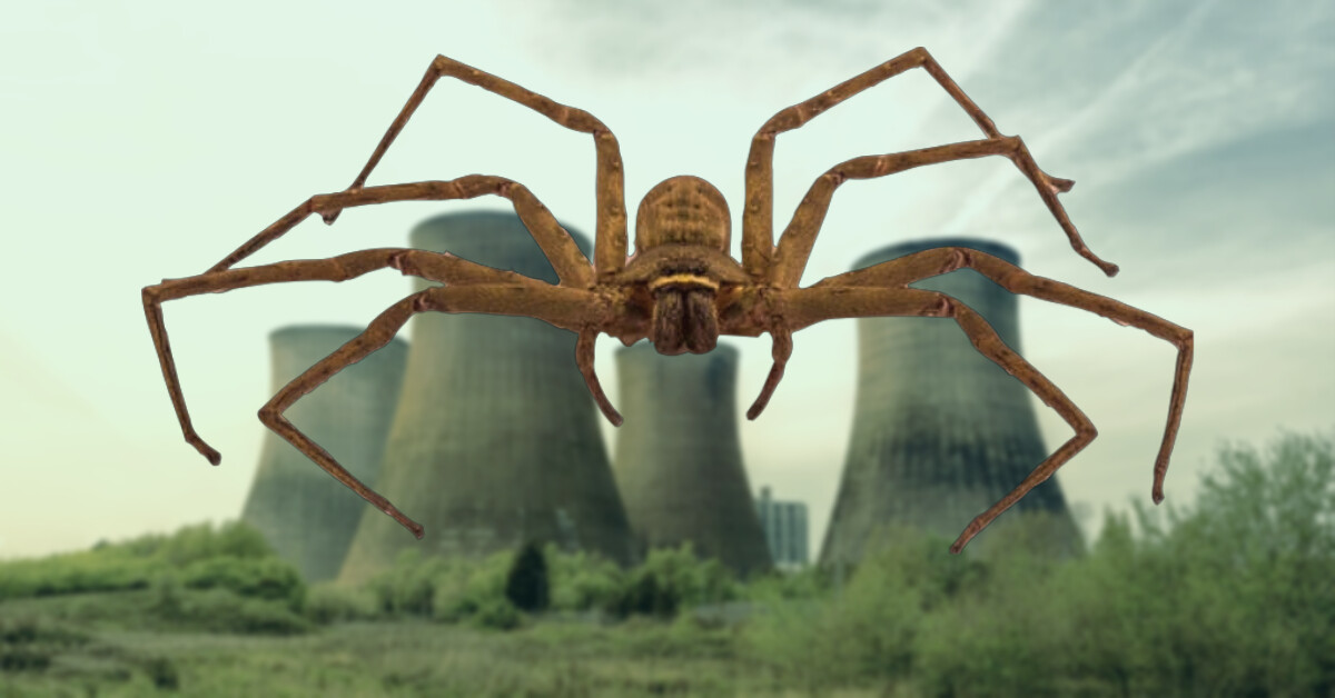 ukraine-mutant-spider-1.jpg