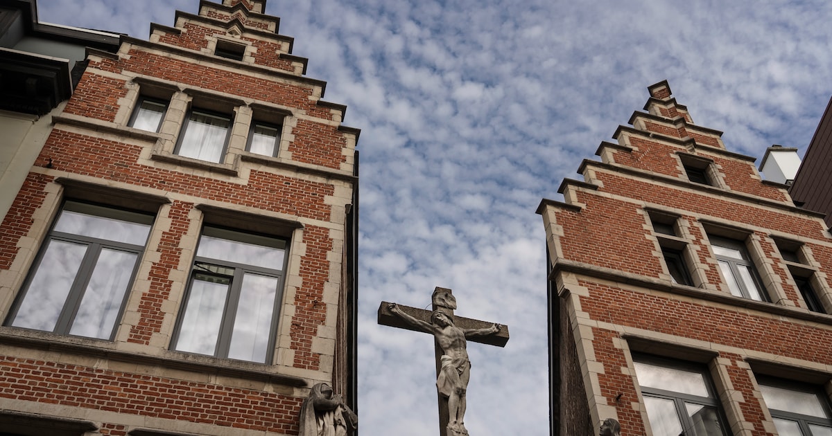 www.demorgen.be