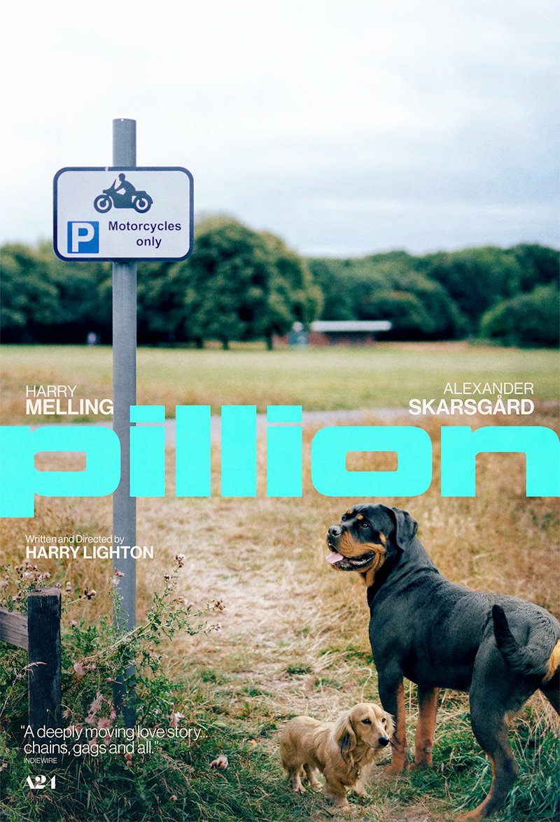 pillionposterboysmainimgbig591.jpg