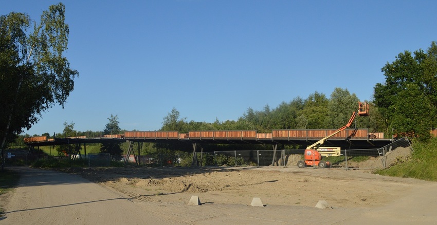 384733.jpg