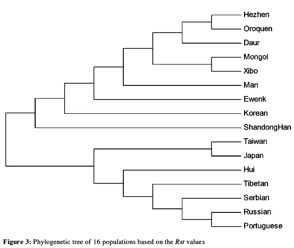 fig11-03.jpg