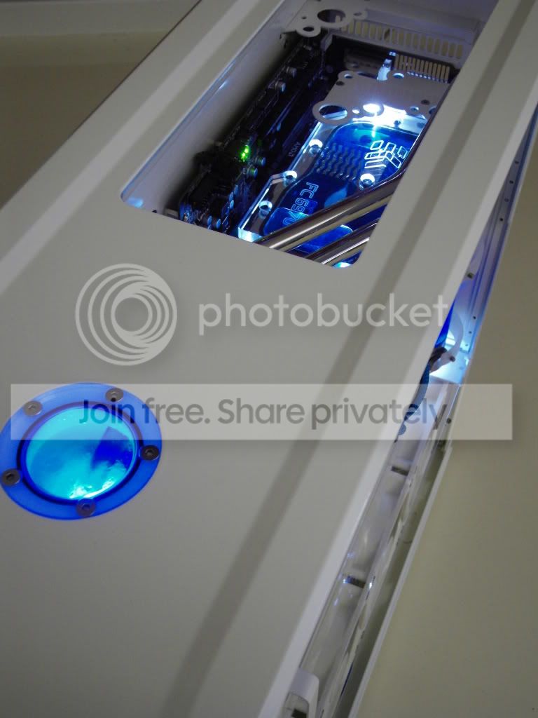 SDC10135.jpg