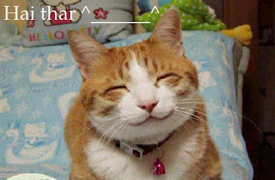 hai+there.jpg