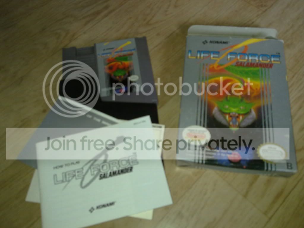 10052010058.jpg