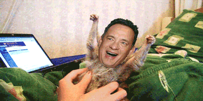 tumblr_ljtor6sypl1qbyqk7o1_500.gif