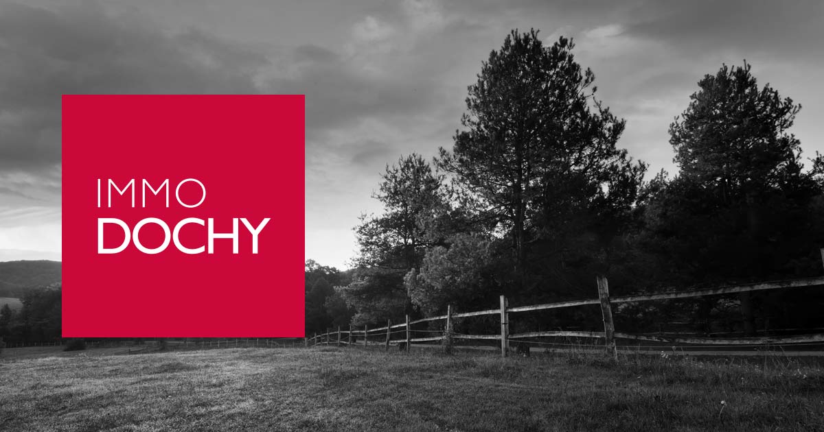 www.dochy.be