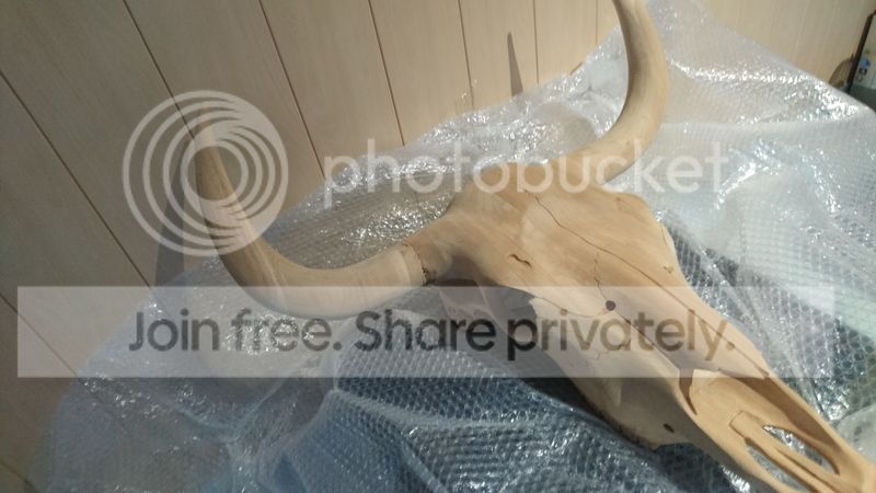 DSC_0137_zpscuefr4v8.jpg