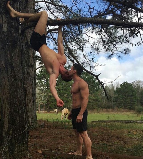 tumblr_o08n1f7kxg1tzeszxo1_500.jpg