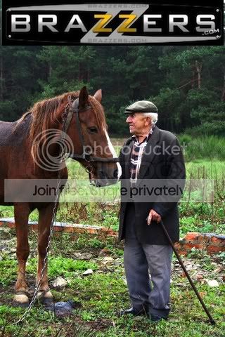 horse.jpg