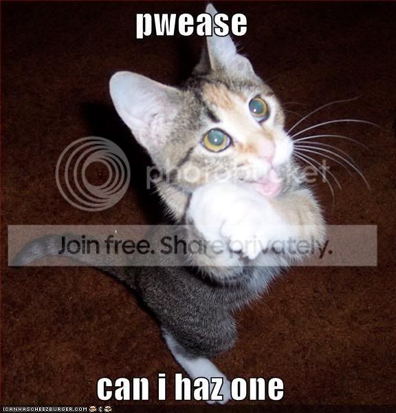 pwease-i-haz-one.jpg