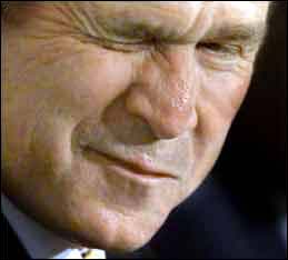 bush-wink.jpg