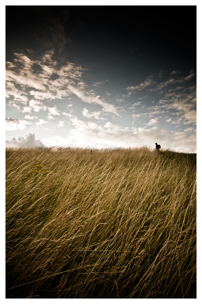 Expanding_his_horizon_2_by_mightyflup.jpg